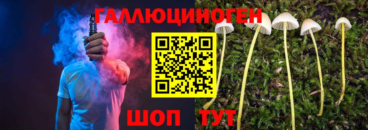Галлюциногенные грибы мухоморы  Вход с VPN  Майкоп  Псилоцибиновые грибы мухоморы 