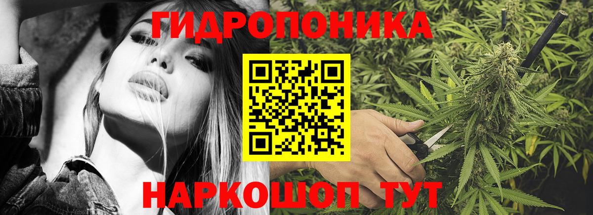 МАРИХУАНА Ganja  Канабис планчик  Вход с VPN  Канабис White Widow  Майкоп  Шишки марихуана White Widow 
